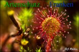 Bild zum Eintrag (912781-177)