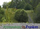 Bild zum Eintrag (912810-177)