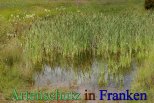 Bild zum Eintrag (912811-177)