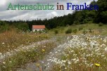 Bild zum Eintrag (912817-177)