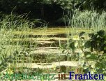 Bild zum Eintrag (912841-177)