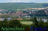 Bild zum Eintrag (912850-177)