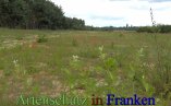 Bild zum Eintrag (912886-177)