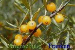 Bild zum Eintrag (912888-177)
