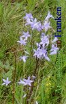 Bild zum Eintrag (912902-177)