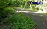 Bild zum Eintrag (913028-177)