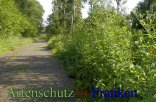 Bild zum Eintrag (913029-177)