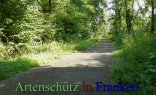 Bild zum Eintrag (913031-177)