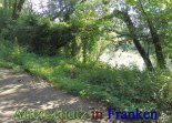 Bild zum Eintrag (913033-177)