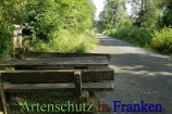 Bild zum Eintrag (913042-177)