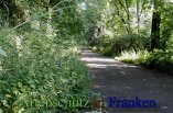 Bild zum Eintrag (913046-177)