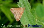 Bild zum Eintrag (913049-177)