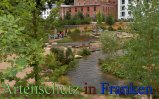 Bild zum Eintrag (913182-177)