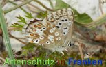 Bild zum Eintrag (913192-177)