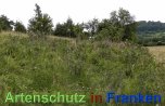 Bild zum Eintrag (913193-177)