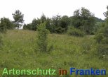 Bild zum Eintrag (913194-177)