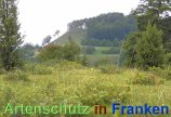 Bild zum Eintrag (913198-177)