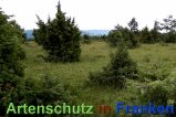 Bild zum Eintrag (913201-177)