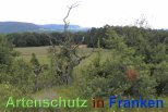 Bild zum Eintrag (913202-177)