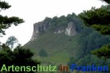 Bild zum Eintrag (913203-177)