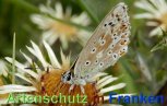 Bild zum Eintrag (913205-177)