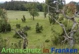 Bild zum Eintrag (913206-177)