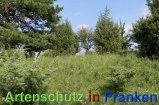 Bild zum Eintrag (913207-177)