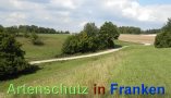 Bild zum Eintrag (913208-177)