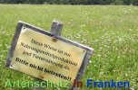 Bild zum Eintrag (913213-177)