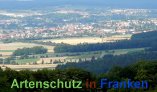 Bild zum Eintrag (913217-177)