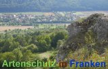 Bild zum Eintrag (913228-177)