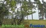 Bild zum Eintrag (913230-177)