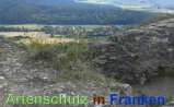 Bild zum Eintrag (913231-177)