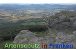 Bild zum Eintrag (913233-177)