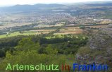 Bild zum Eintrag (913236-177)