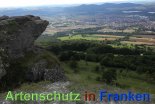 Bild zum Eintrag (913237-177)