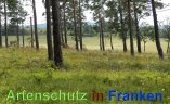 Bild zum Eintrag (913240-177)