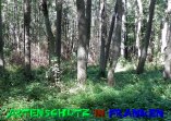 Bild zum Eintrag (913385-177)