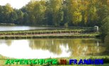 Bild zum Eintrag (913419-177)