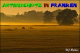 Bild zum Eintrag (913470-177)