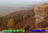 Bild zum Eintrag (913752-177)