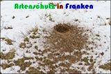 Bild zum Eintrag (913922-177)