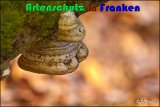 Bild zum Eintrag (913952-177)