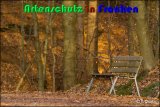 Bild zum Eintrag (913964-177)