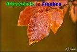 Bild zum Eintrag (913977-177)