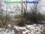 Bild zum Eintrag (914100-177)