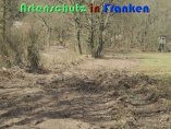 Bild zum Eintrag (914105-177)