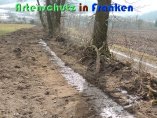 Bild zum Eintrag (914119-177)