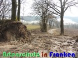 Bild zum Eintrag (914129-177)