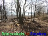 Bild zum Eintrag (914130-177)